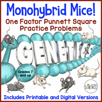 Preview of FREE Genetics Punnett Square Monohybrid Crosses Practice Worksheet