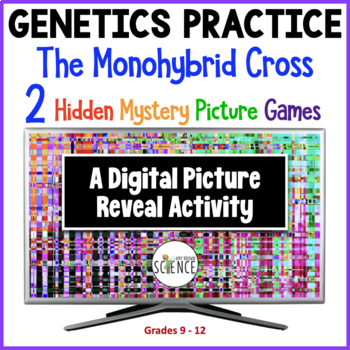 Preview of Monohybrid Crosses Punnett Squares Hidden Picture Activities