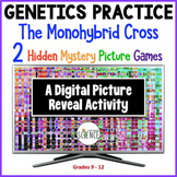 Monohybrid Crosses Punnett Squares Hidden Picture Activities