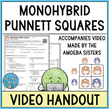 Preview of Monohybrid Punnett Squares Amoeba Sisters Video Handout