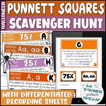Preview of Monohybrid Punnett Squares Practice Problems Scavenger Hunt Activity / Halloween
