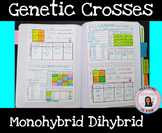 Monohybrid Dihybrid Punnet Square Genetic Principles of Bi