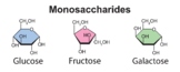 Monosaccharides. Glucose, Fructose And Galactose.