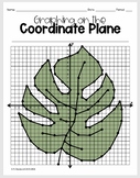 Monstera Leaf- Graphing on the Coordinate Plane