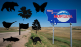 Montana State Symbols 