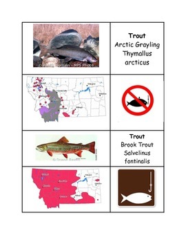 Preview of Montana Trout Classification Cards