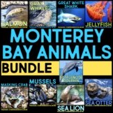 Monterey Bay Animals Nonfiction Animal Research & Comprehe