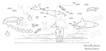 Preview of Monterey Bay Aquarium Coloring Page