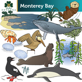 Monterey Bay Clip Art