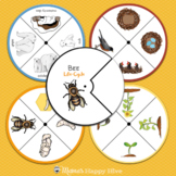 10 Montessori Life-Cycle Sets Bundle
