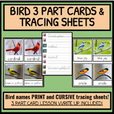 Montessori 3-Part Bird Cards and Tracing Sheets