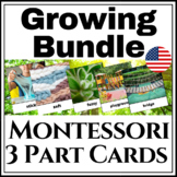 Montessori 3 Part Card GROWING Bundle (All 3 part cards)