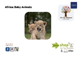 Montessori 3-Part Cards: African Animal Babies