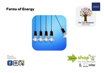 Preview of Montessori 3-Part Cards: Forms of Energy