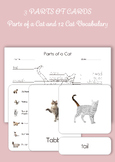 Montessori 3 Part Cards - Parts of a Cat and 12 Cat Breeds