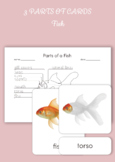 Montessori 3 Part Cards - Parts of a Fish