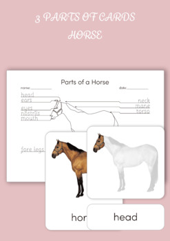 Preview of Montessori 3 Part Cards - Parts of a Horse