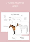 Montessori 3 Part Cards - Parts of a Horse