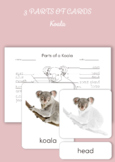 Montessori 3 Part Cards - Parts of a Koala