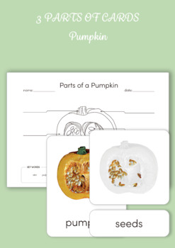 Preview of Montessori 3 Part Cards- Parts of a Pumpkin