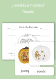 Montessori 3 Part Cards- Parts of a Pumpkin