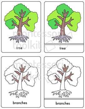 Preview of Montessori 3 Part Cards- Tree- Distance Learning Printable