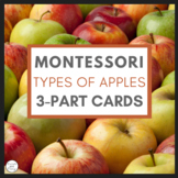 Montessori 3 Part Cards - Types of Apples