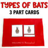 Montessori 3 Part Cards: Types of  Bats