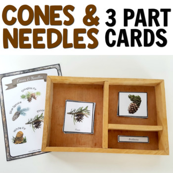 Preview of Montessori 3 Part Cards: Types of Cones and Needles