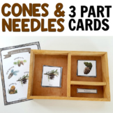 Montessori 3 Part Cards: Types of Cones and Needles