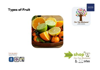 Preview of Montessori 3-Part Cards: Types of Fruit