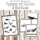Montessori 3 Part Cards: Types of Seals