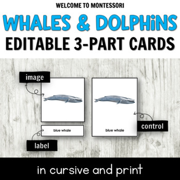 Preview of Montessori 3-Part Cards: Types of Whales & Dolphins [Cursive and Print]