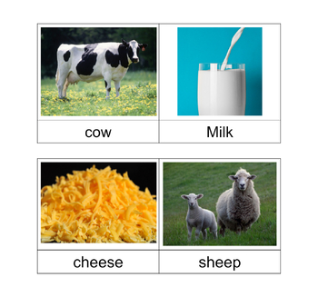 Preview of Montessori 3 Part Cards- Where do things come from- Farm Edition