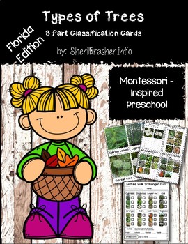 Preview of Montessori 3 Part Classification Cards: Types of Trees in Florida