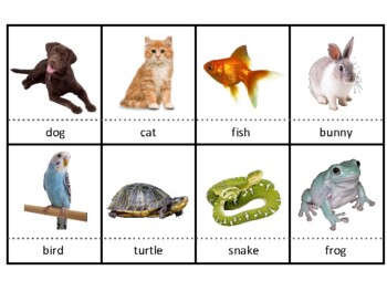 Montessori 3-Part Language Cards: Pets by Learning to DIY For | TPT