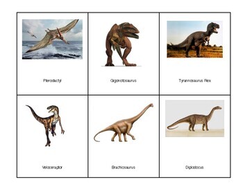 Preview of Montessori 3 part Language Cards - Dinosaurs
