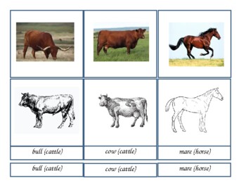 Preview of Montessori 3-part cards FARM ANIMALS M/F