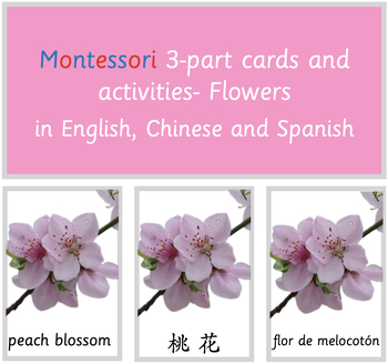 Preview of Montessori 3-part cards and activities-Flowers In English, Chinese, and Spanish