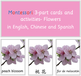 Montessori 3-part cards and activities-Flowers In English,
