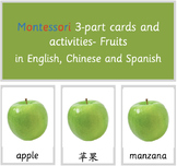 Montessori 3-part cards and activities - Fruits