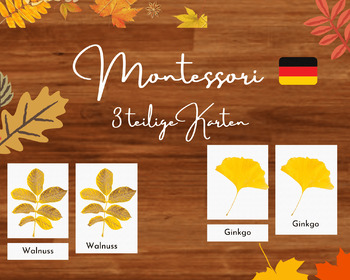 Preview of Montessori 3-teilige Karten - Herbst blätter/3-part cards - Fall leaves