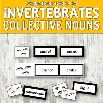 Preview of Montessori Activities Invertebrates Collective Nouns