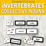 Montessori Activities Invertebrates Collective Nouns