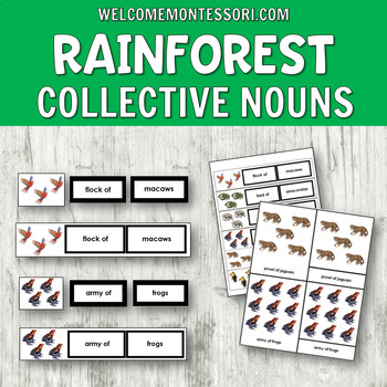 Preview of Montessori Activities Rainforest Animal Collective Nouns South America Theme