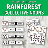 Montessori Activities Rainforest Animal Collective Nouns S