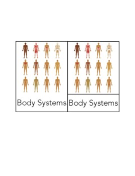 Preview of Montessori Advanced Three-Part Cards (Anatomy): The Body Systems