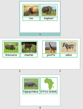 Preview of Montessori Africa animal nomenclature