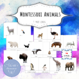 Montessori Animals 3 part FLASHCARDS