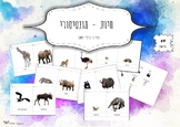 Montessori Animals 3 part CARDS Hebrew